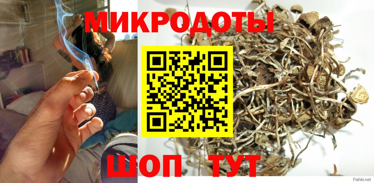 Апатиты  Псилоцибиновые грибы Psilocybe  Вход с VPN 